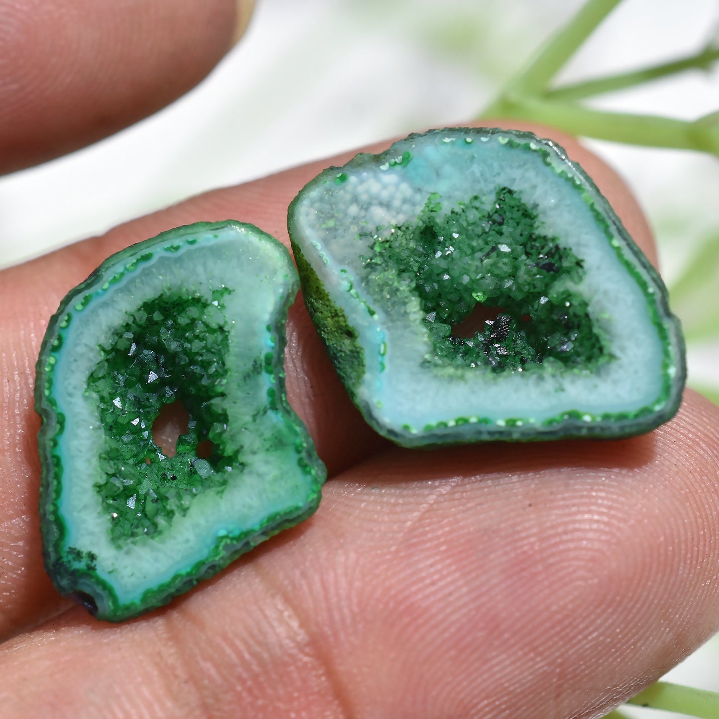 Beautiful Green Agate Druzy Earring Pair – Window Druzy Geode Slice Cabochon