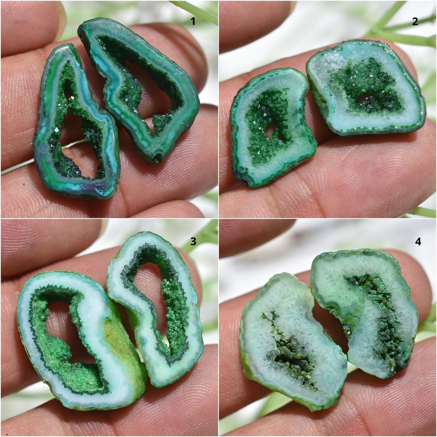 Beautiful Green Agate Druzy Earring Pair – Window Druzy Geode Slice Cabochon