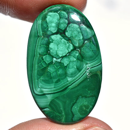 Unique Natural Malachite Cabochon – Oval Flat Back Green Gemstone for DIY Jewelry