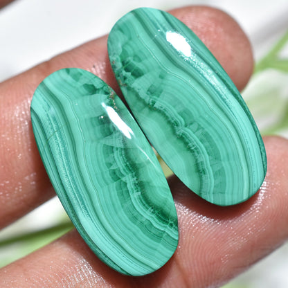 High Quality! Malachite Pair -  Oval & Pear Shaped Green Malachite Cabochons for DIY Jewelry