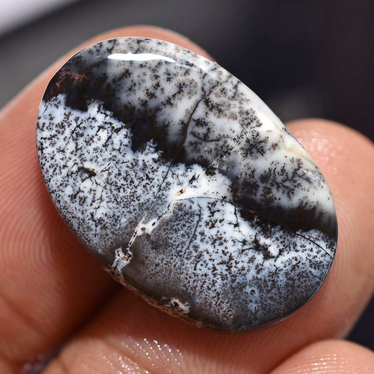 Dendrite Agate Cabochon - Oval Shape, Black & White Opal Gemstone