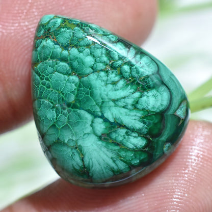 Top Quality Malachite Pear Shape Cabochon - Loose Stone for Jewelry Making