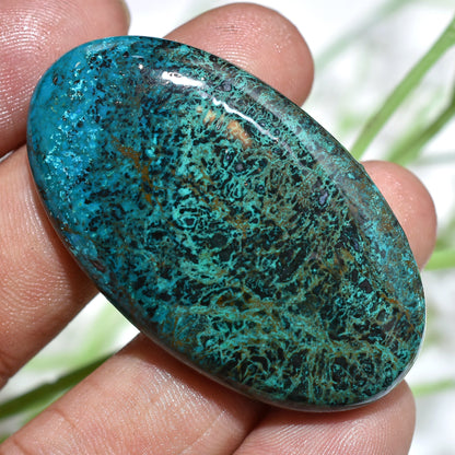 Wholesale Azurite Shattuckite Cabochons – Oval Gemstones for Pendant Jewelry