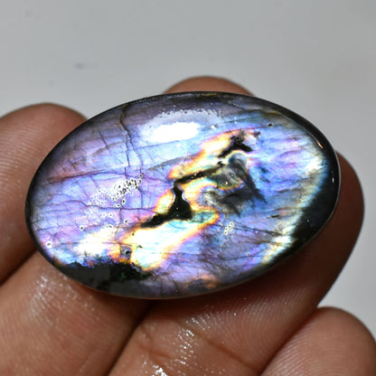 Top Quality Multi Fire Purple Flashy Labradorite Cabochon - Spectrolite Wholesale