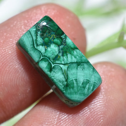 Natural Malachite Cabochons | Pear-Shaped Loose Gemstone for Jewelry Making