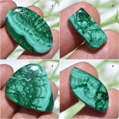 Natural Malachite Cabochons | Pear-Shaped Loose Gemstone for Jewelry Making