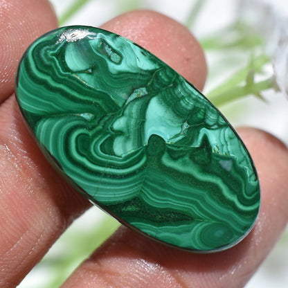 Top Quality Rare Malachite Designer Gemstone - Green Malachite Slice Cabochon