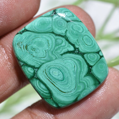 Top Quality Rare Malachite Designer Gemstone - Green Malachite Slice Cabochon