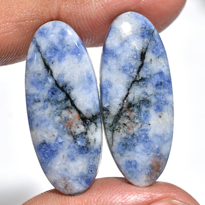 Amazing Blue Sodalite Gemstone Pair – Wholesale Loose Cabochon Matched Pair for Earrings, Mixed Shapes