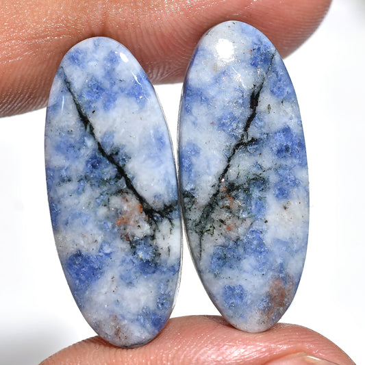 Amazing Blue Sodalite Gemstone Pair – Wholesale Loose Cabochon Matched Pair for Earrings, Mixed Shapes