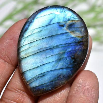 Blue Flash Labradorite - 100% Natural Teardrop Shape Healing Crystal, High-Quality Wire-Wrapped Pendant