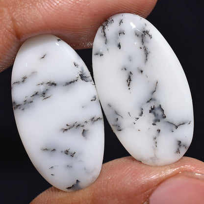 Dendritic Agate Loose Gemstones Pair - Natural Dendrite Opal Cabochon for Earrings