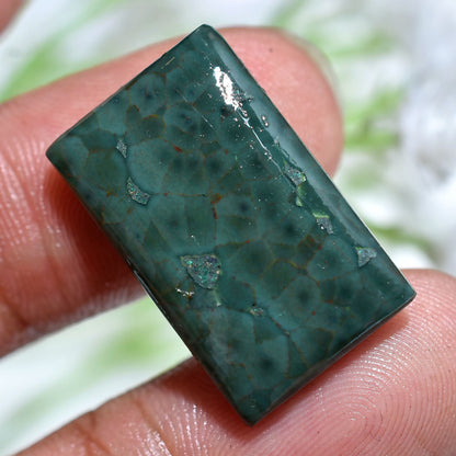 Amazing Ocean Jasper Gemstone - Green Ocean Jasper Cabs for Pendant