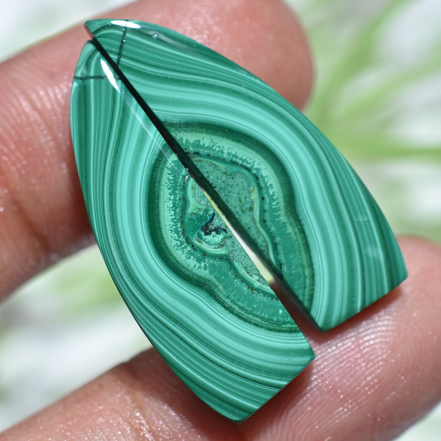 Rare Designer Malachite Cabochon Pair - Mix-Shape Green Malachite Slice for Earring Making