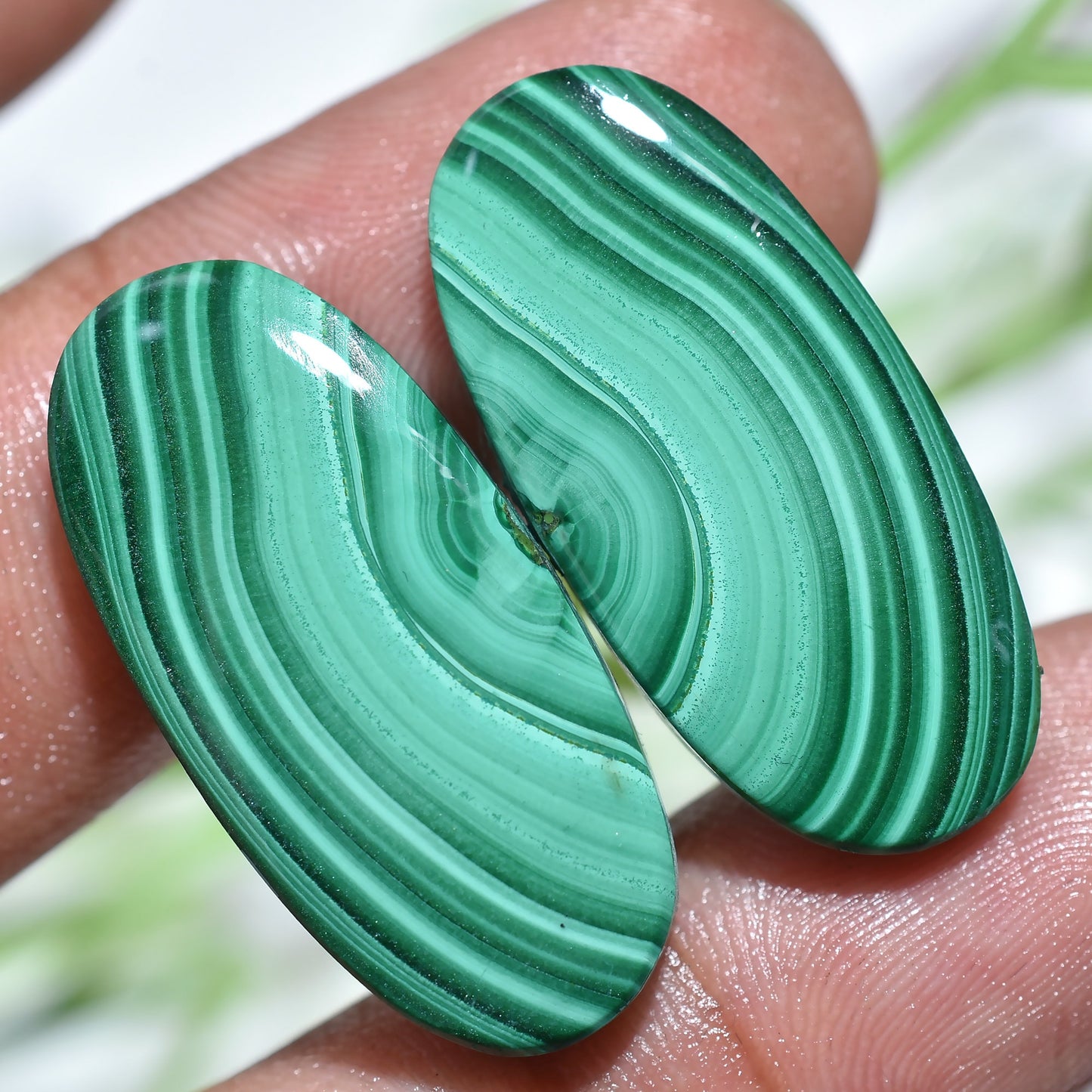 Rare Designer Malachite Cabochon Pair - Mix-Shape Green Malachite Slice for Earring Making