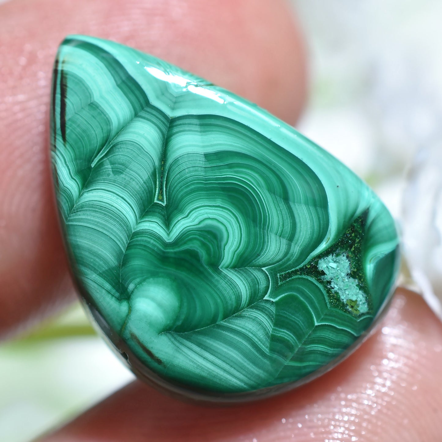 Top Quality Malachite Pear Shape Cabochon - Loose Stone for Jewelry Making