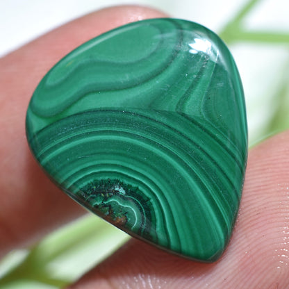 Premium Natural Malachite Cabochon - Mixed Shape Loose Gemstone for Pendant Making