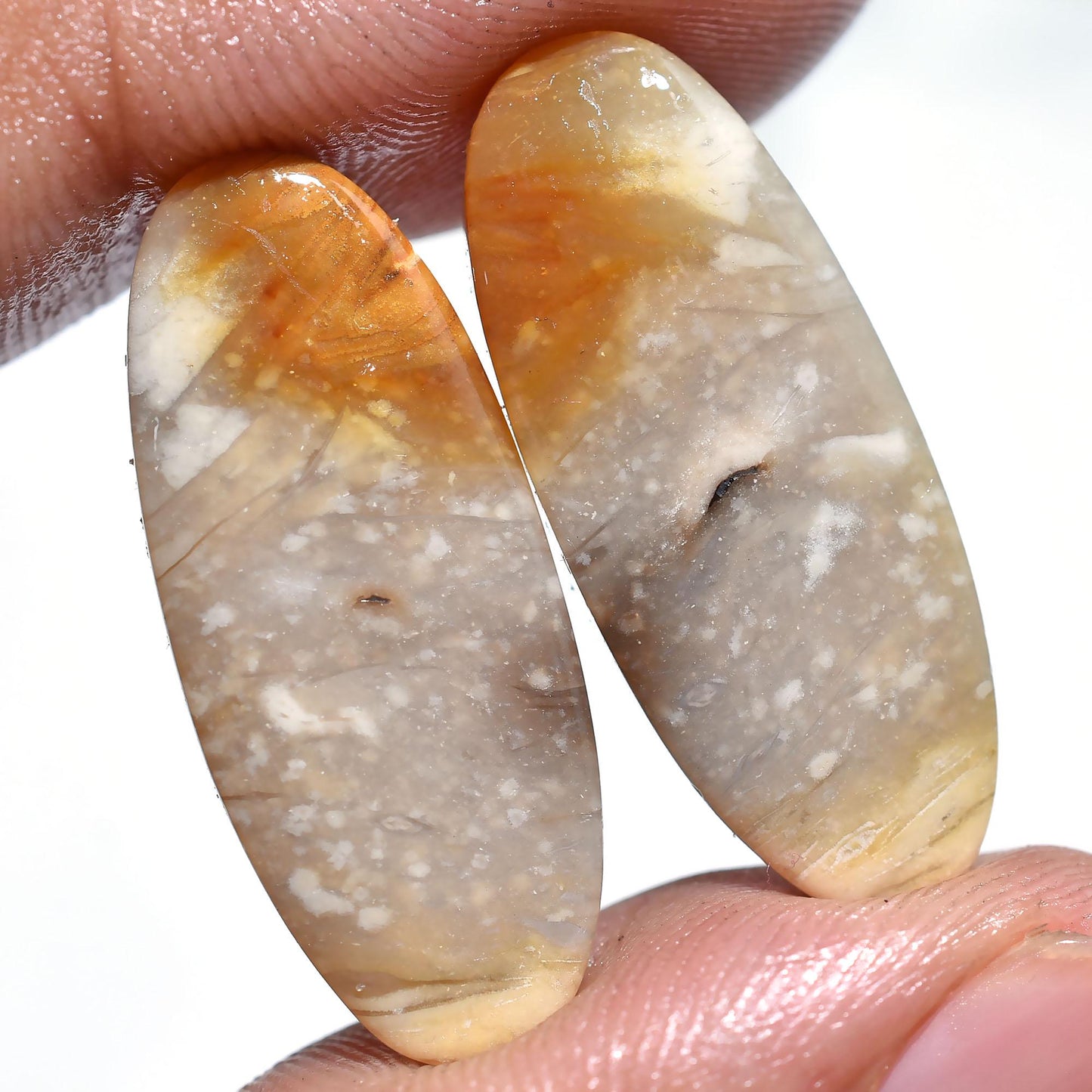 Best Quality Palm Root Pair - Oval Palm Root Cabochon Pair for Earrings