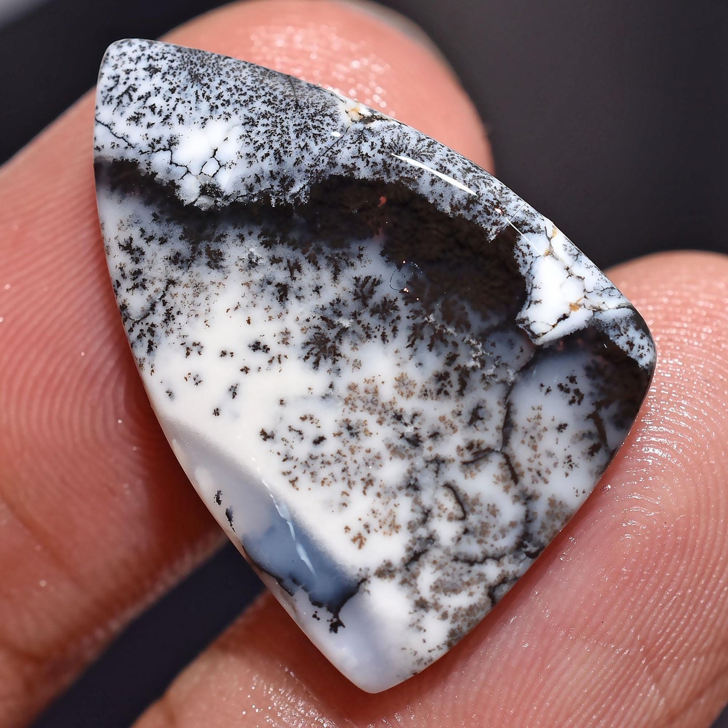 Designer Dendrite Opal Gemstone - Oval Dendrite Agate Cabochon for Pendants