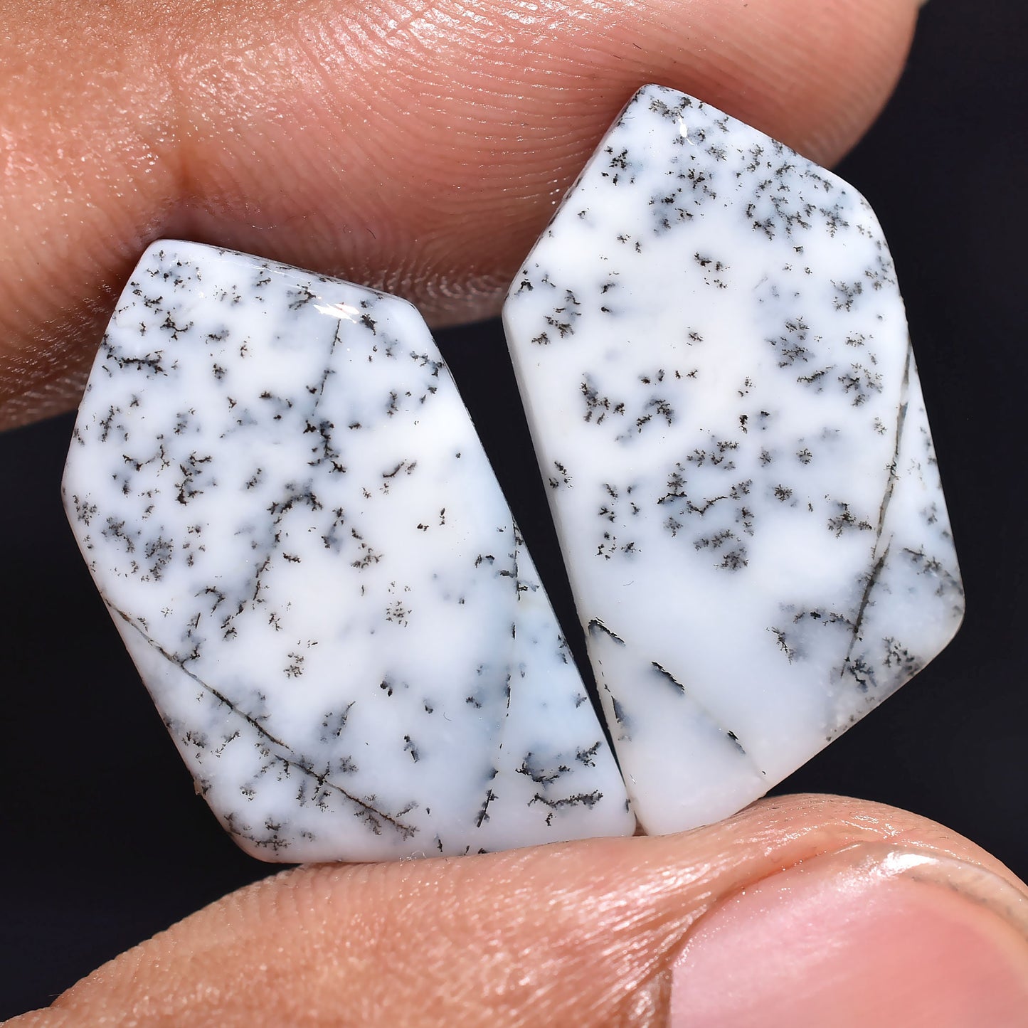 Dendritic Agate Loose Gemstones Pair - Natural Dendrite Opal Cabochon for Earrings