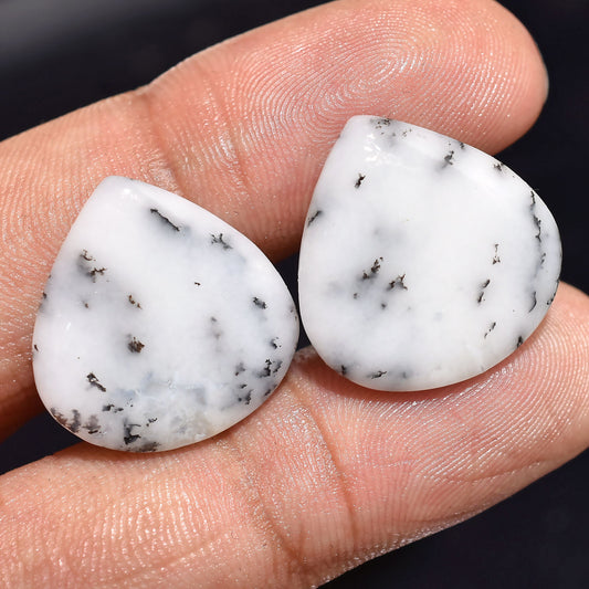 Dendritic Agate Loose Gemstones Pair - Natural Dendrite Opal Cabochon for Earrings