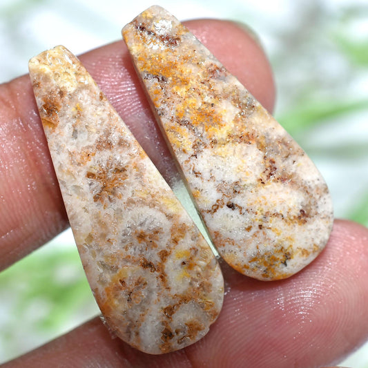 Designer Fossil Coral Cabochon Earrings Pair - Matching Fossil Coral Earring Set, Cabochon Pair, Jewelry Making, Loose for Custom Earring