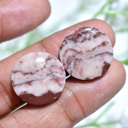 100% Natural Coconut Jasper Cabochon Pair – Fancy Shaped Loose Gemstones for Earrings