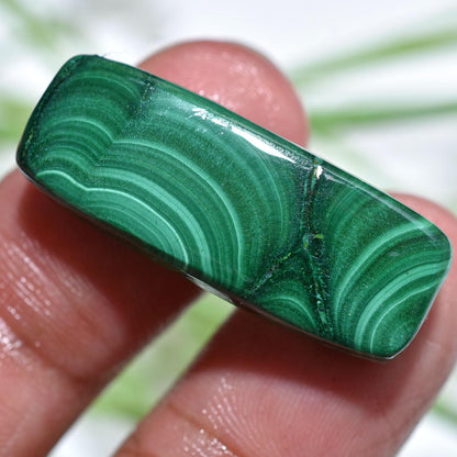 Designer Malachite Cabochon, Mixed Shape Smooth Texture Gemstone