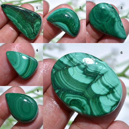 Natural Green Malachite Cabochons – Mixed Shaped Polished Loose Gemstones