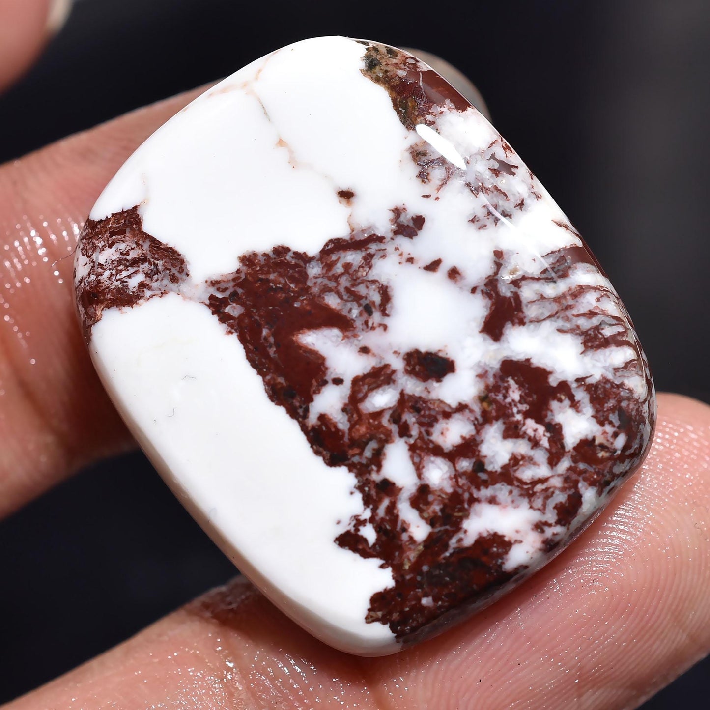 Amazing! Wild Horse Jasper Crystal Healing Stone - Natural Magnesite Healing Stone, Wild Horse Jasper Cabochon, Ideal for Pendant Making