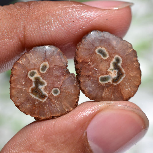 Brown Solar Quartz Cabochon Pair – Round Stalactite Gemstone for Earrings & DIY Jewelry