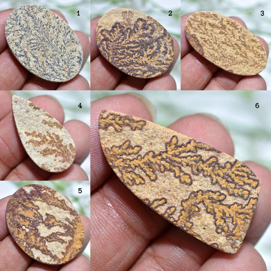 Amazing Psilomelane Dendrite Fossil Cabochon – Unique Mixed Shapes for Jewelry, Wholesale Loose Stones for Pendants