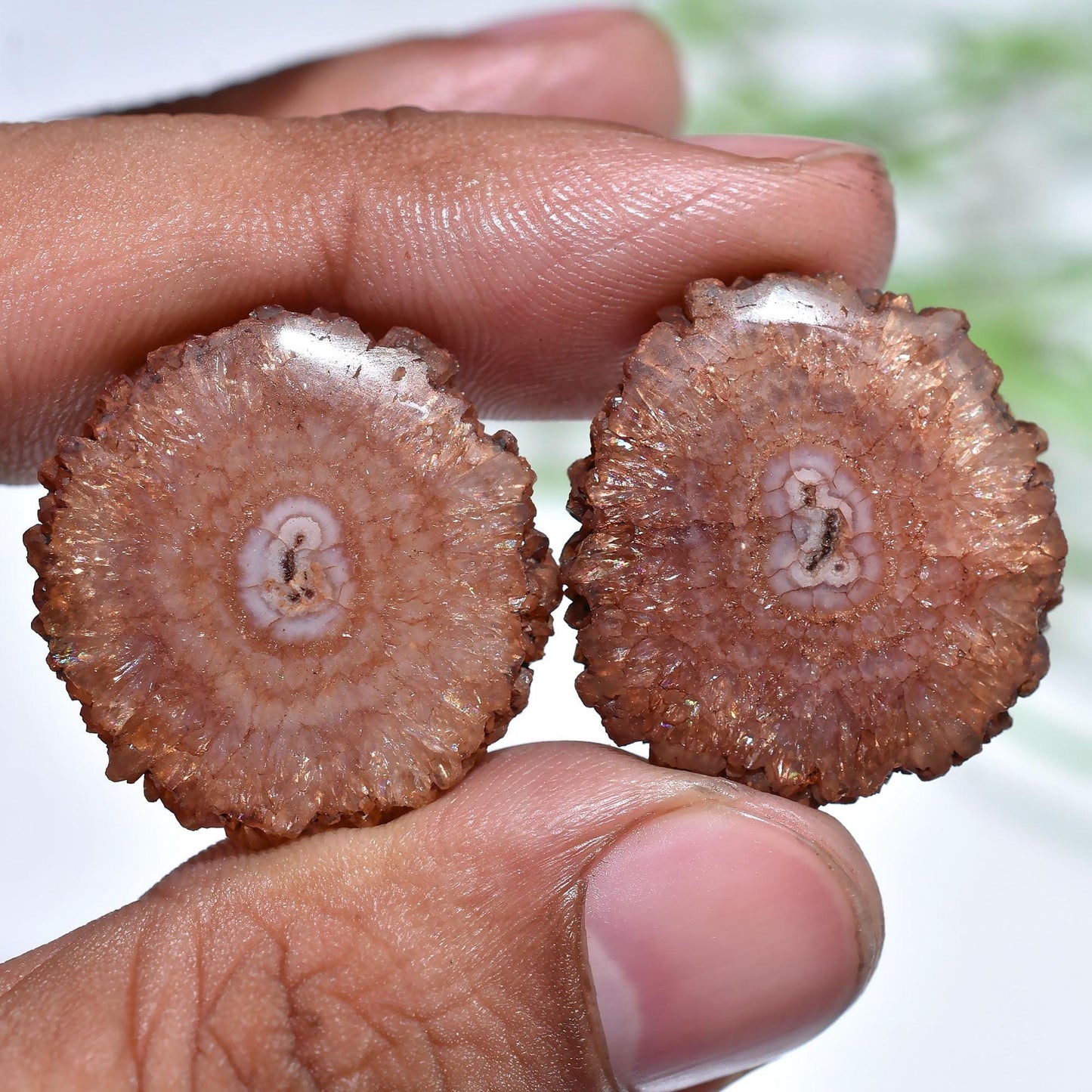 Brown Solar Quartz Matched Earring Pair - Geode Agate Stalactite Slice, Loose Round Gemstone Pair for Jewelry Making