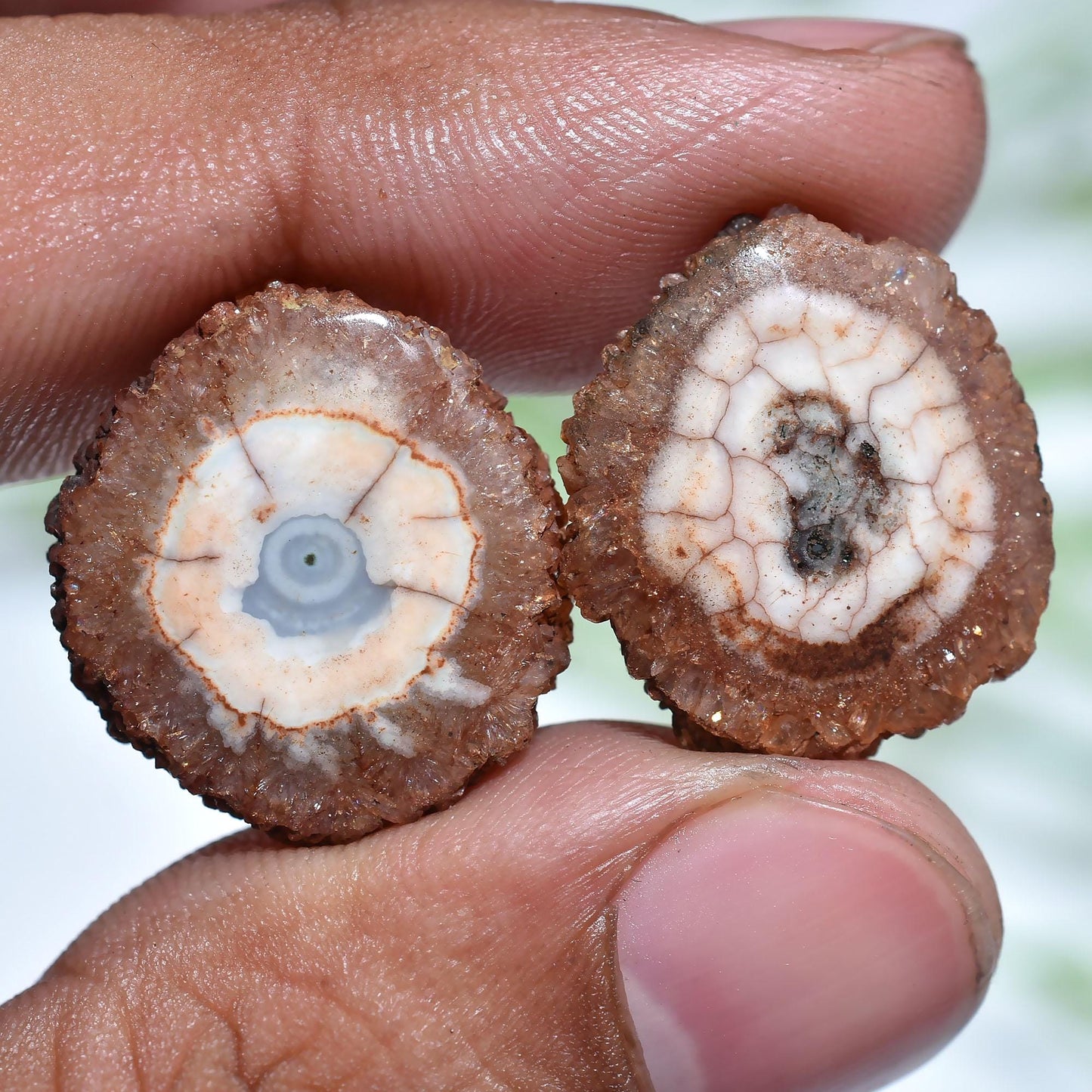 Brown Solar Quartz Matched Earring Pair - Geode Agate Stalactite Slice, Loose Round Gemstone Pair for Jewelry Making