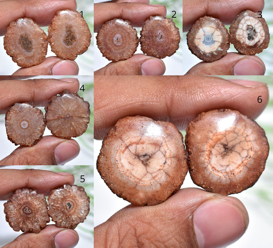 Brown Solar Quartz Matched Earring Pair - Geode Agate Stalactite Slice, Loose Round Gemstone Pair for Jewelry Making