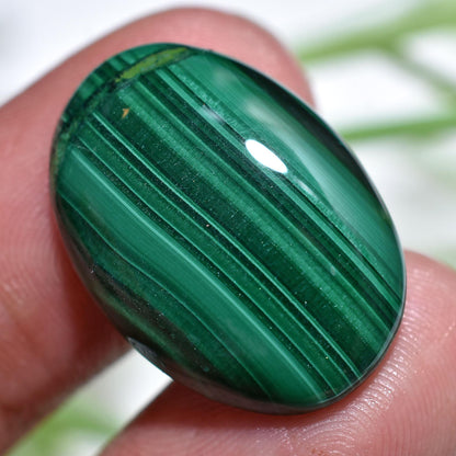 Designer Malachite Cabochon, Mixed Shape Smooth Texture Gemstone