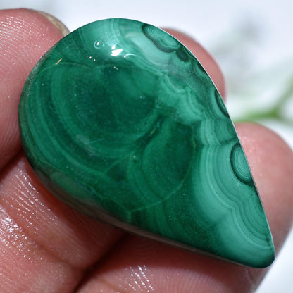 Natural Green Malachite Cabochons – Mixed Shaped Polished Loose Gemstones