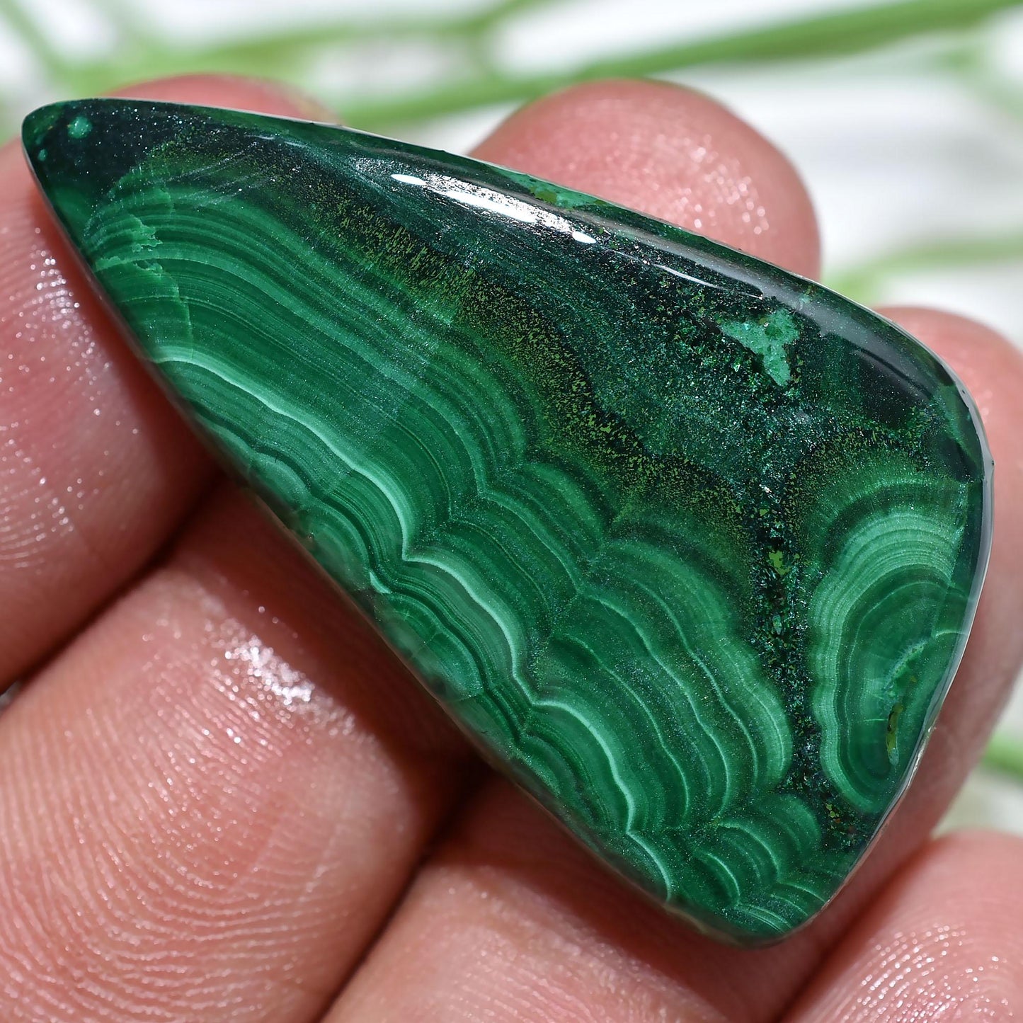 Natural Green Malachite Cabochons – Mixed Shaped Polished Loose Gemstones