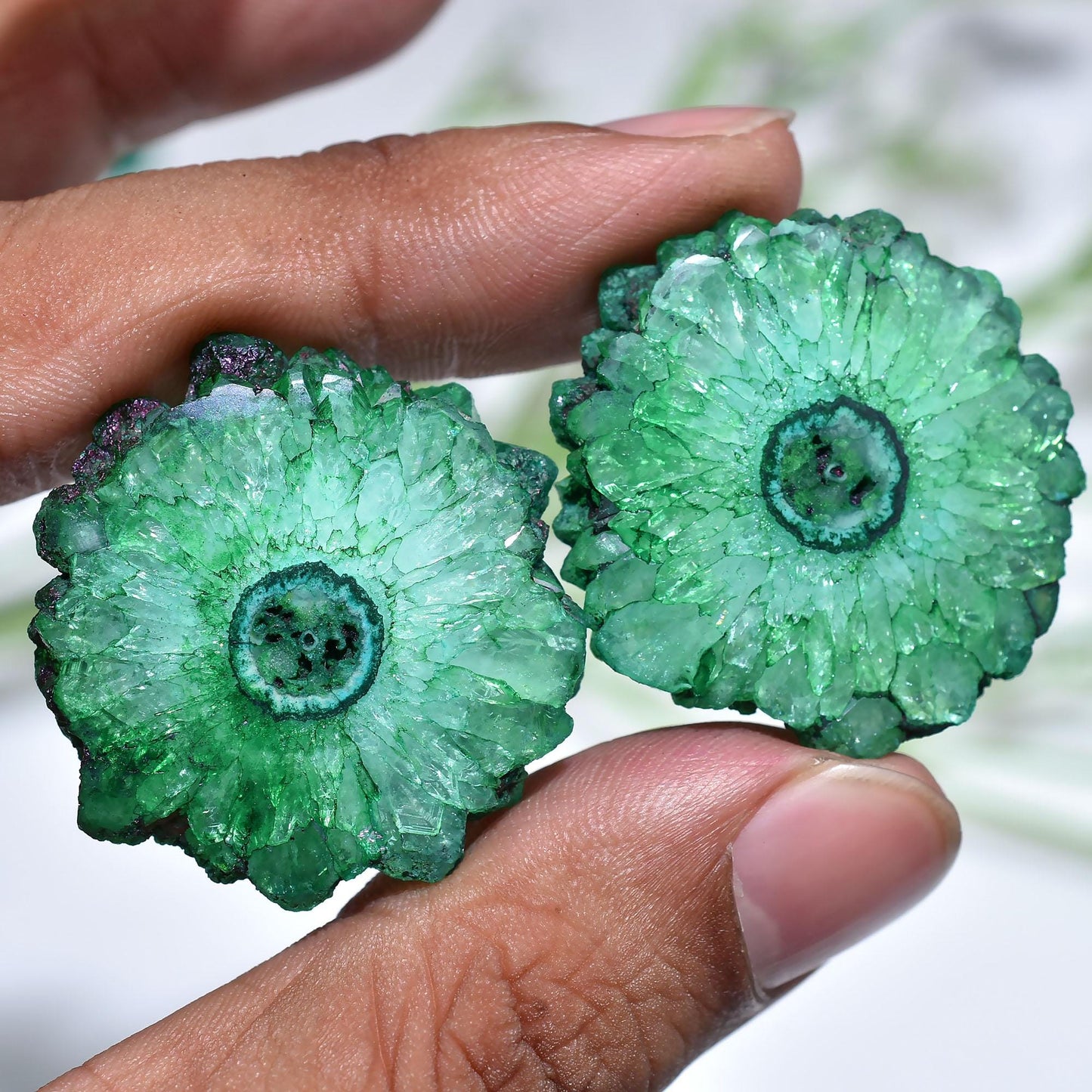 Green Solar Quartz Earrings – Stalactite Slice Gemstone Pair for Jewelry