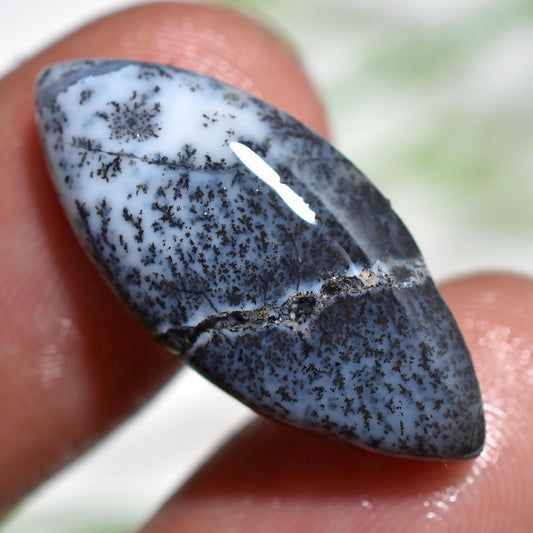 Dendrite Opal Cabochon, Marquise Shape Stone