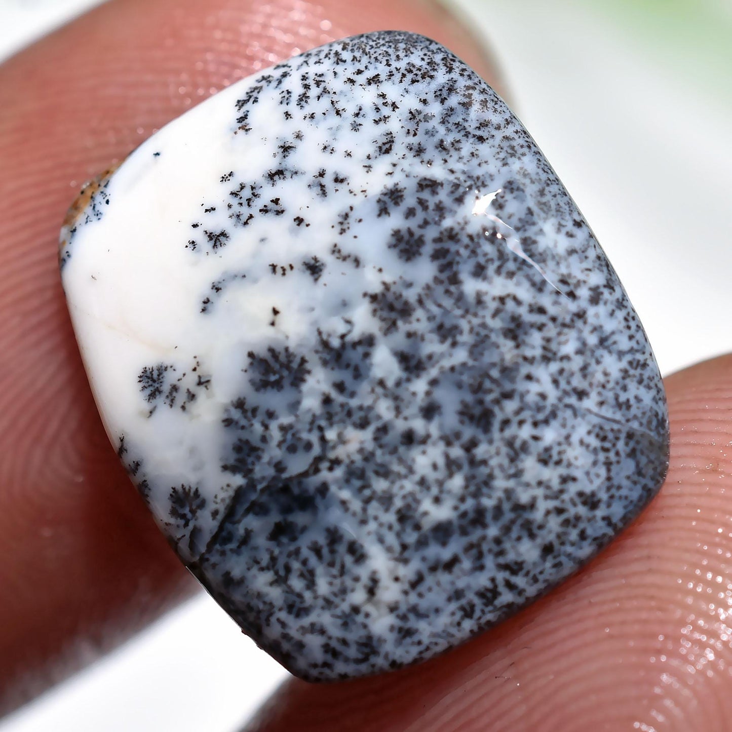 Fancy Shape Dendrite Gemstone, Flat Back Loose Opal Healing Crystal