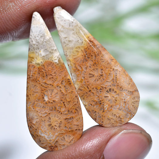 Adorable Flower Fossil Coral Pair – Pear Shape, Natural Yellow Fossil Cabochons for Earrings