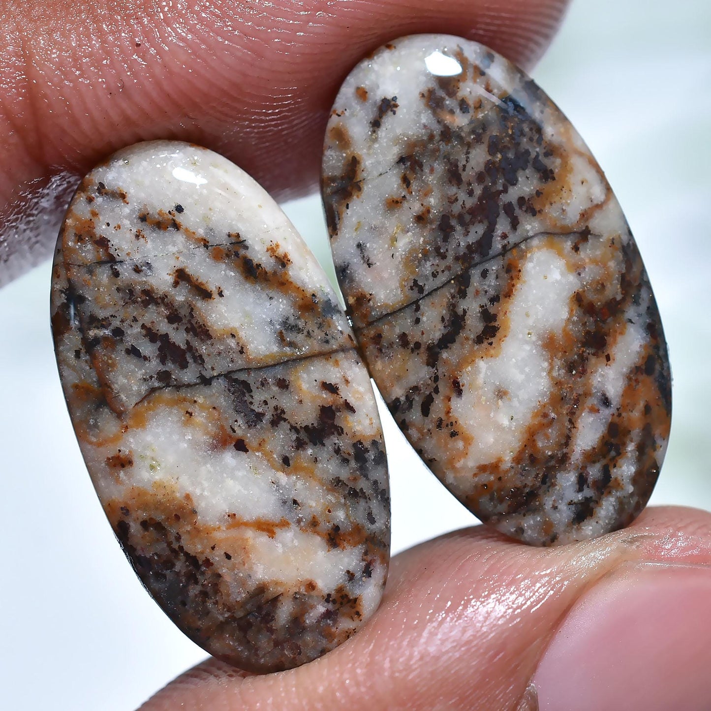 Dendrite Opal Cabochon Pair – Mixed Shape Flat Back Stones for Jewelry