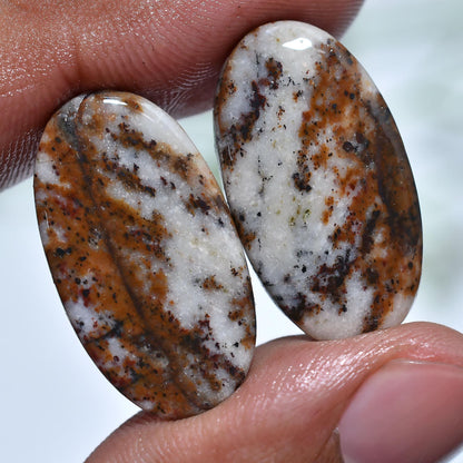 Dendrite Opal Cabochon Pair – Mixed Shape Flat Back Stones for Jewelry