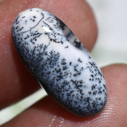 Rare Dendrite Opal Cabochon, Oval Flatback Dendrite Gemstone