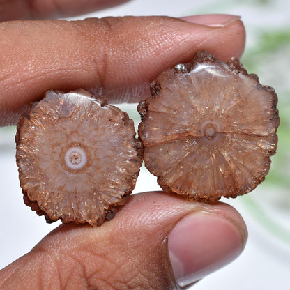 Brown Solar Quartz Matched Earring Pair - Geode Agate Stalactite Slice, Loose Round Gemstone Pair for Jewelry Making