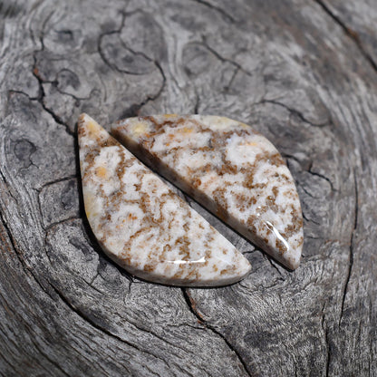 Designer Fossil Coral Gemstone Pair - Fancy Shaped Smooth Matched Earrings Making