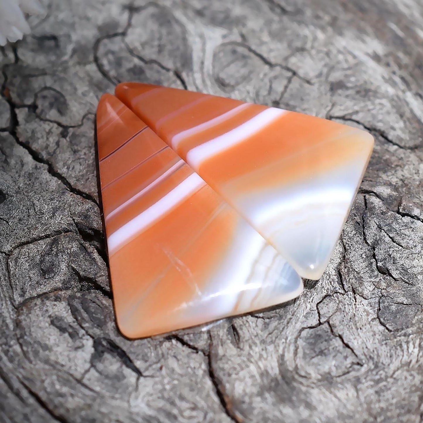 Beautiful Orange Banded Agate Earrings Pair - Fancy Shape Cabochon Gemstones