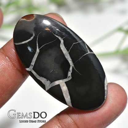 Natural Black Fossil Septarian Nodule - Designer Dragon Stone for Jewelry