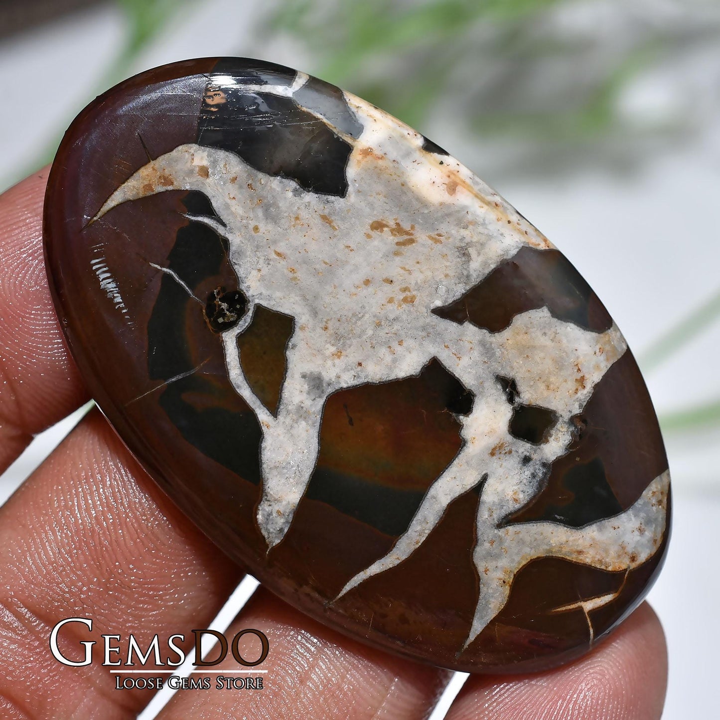 Natural Brown Septarian Nodule - Smooth Dragon Stone for Pendants & Jewelry